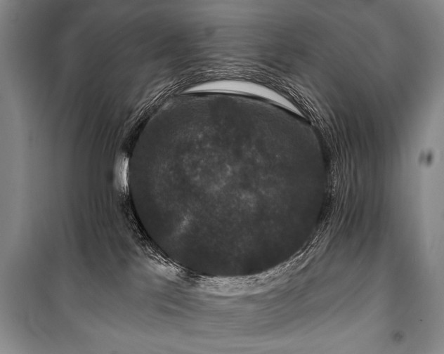 X0000101140041200806270930