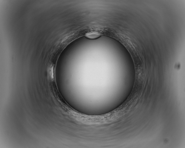 X0000101140042200806270930