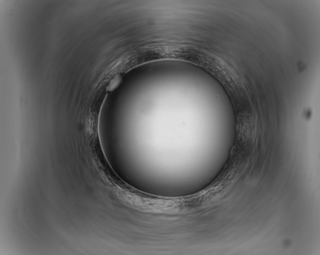 X0000101140044200806270930