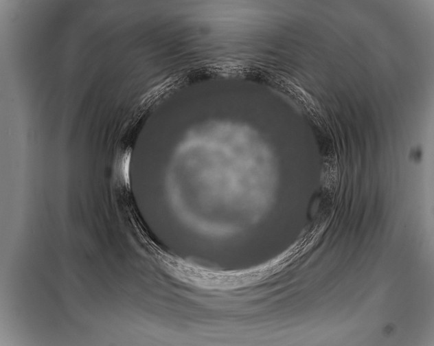 X0000101140047200806270930