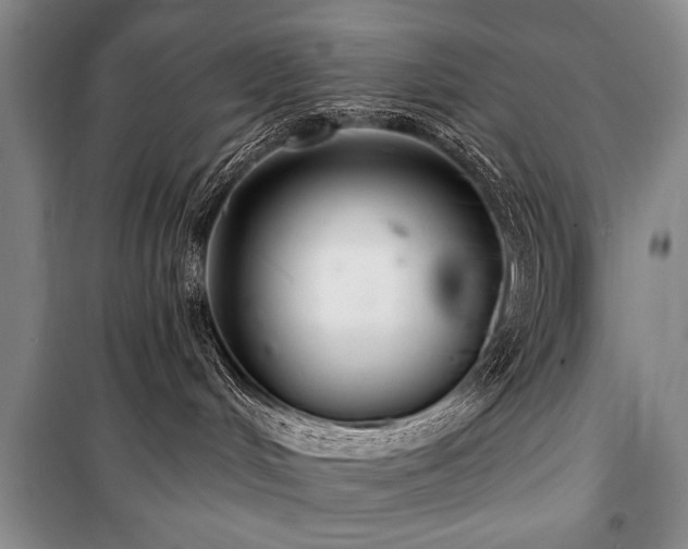 X0000101140048200806270930