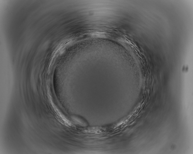 X0000101140049200806270929