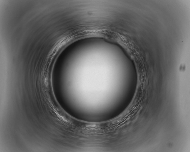 X0000101140050200806270929