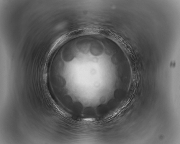 X0000101140053200806270929