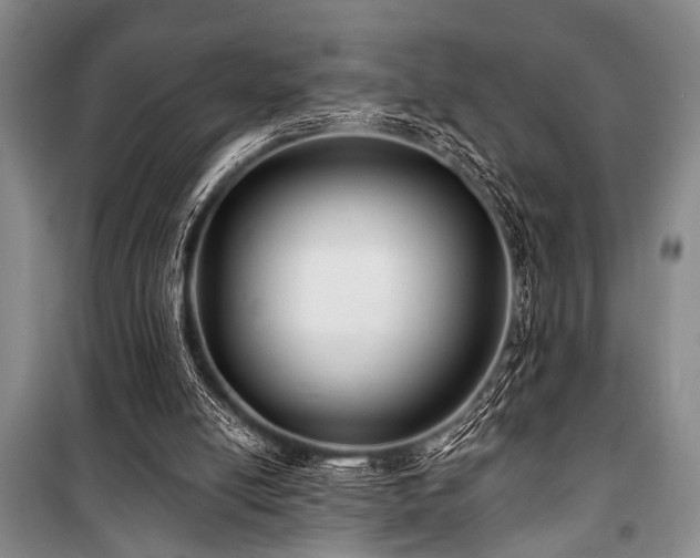 X0000101140054200806270929