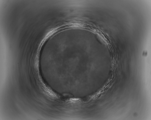 X0000101140055200806270929