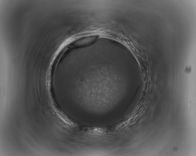 X0000101140056200806270929