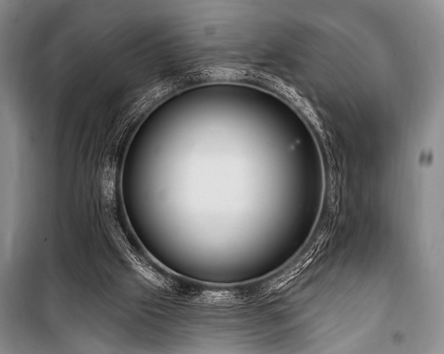 X0000101140057200806270929