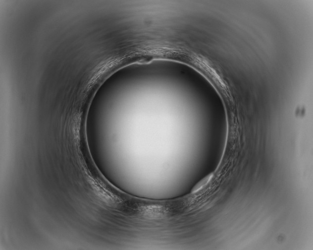 X0000101140058200806270929