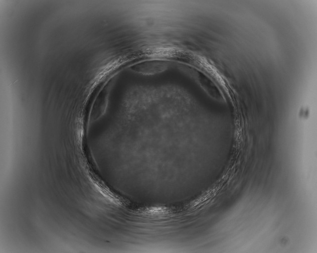 X0000101140059200806270929