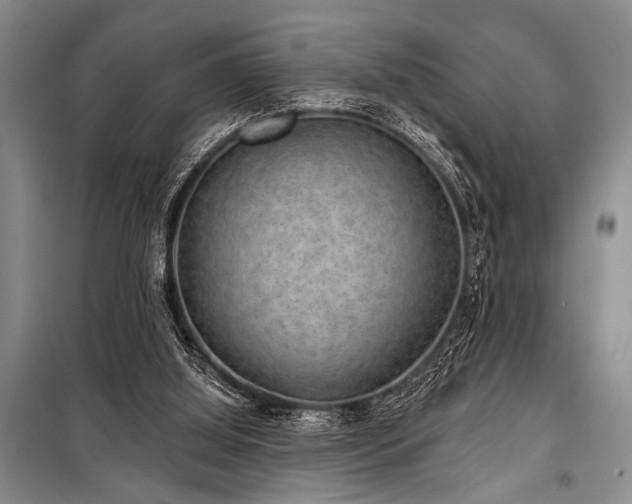 X0000101140060200806270929