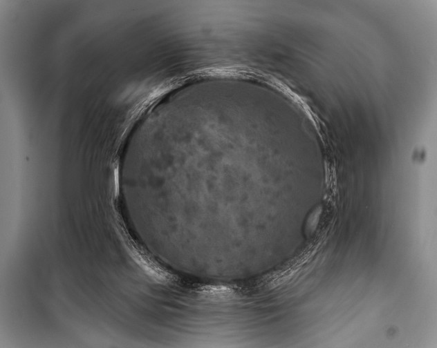 X0000101140061200806270929