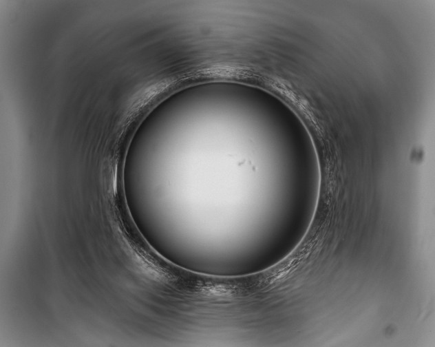 X0000101140062200806270929