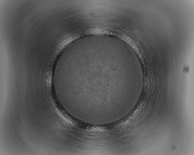 X0000101140063200806270929