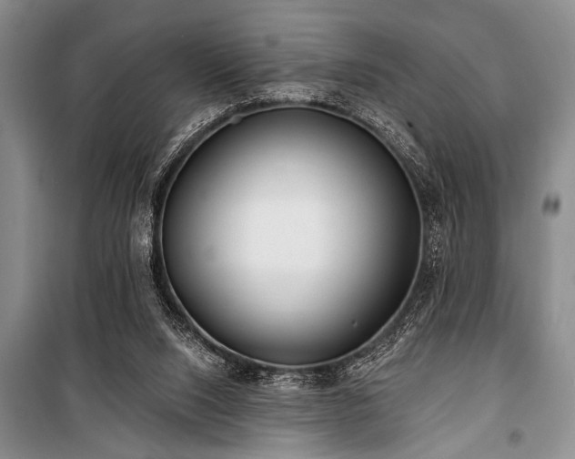 X0000101140064200806270929