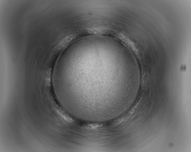 X0000101140065200806270929