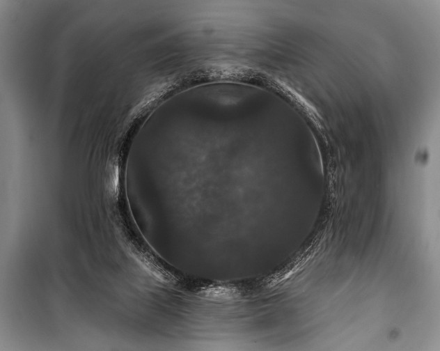 X0000101140067200806270929