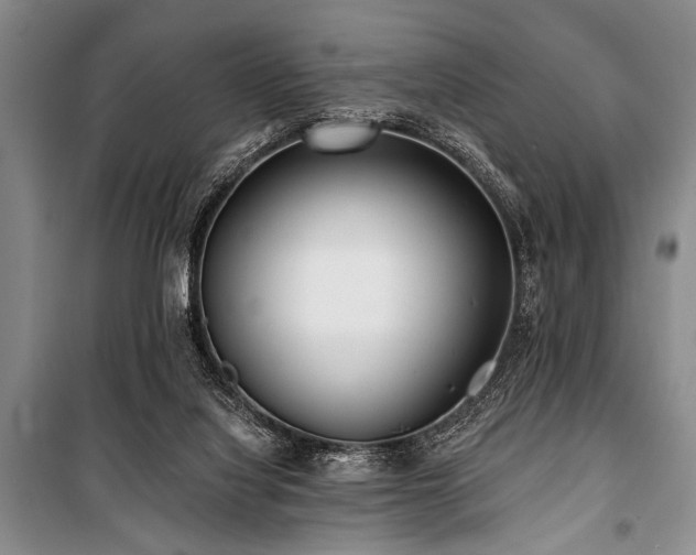 X0000101140068200806270929