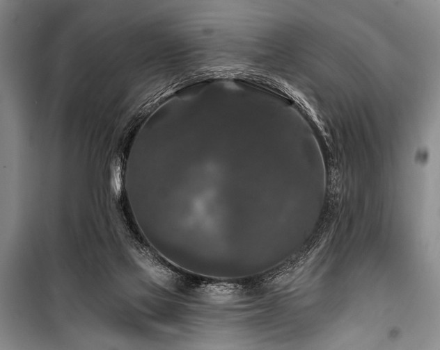 X0000101140069200806270929