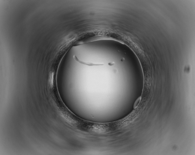 X0000101140070200806270929