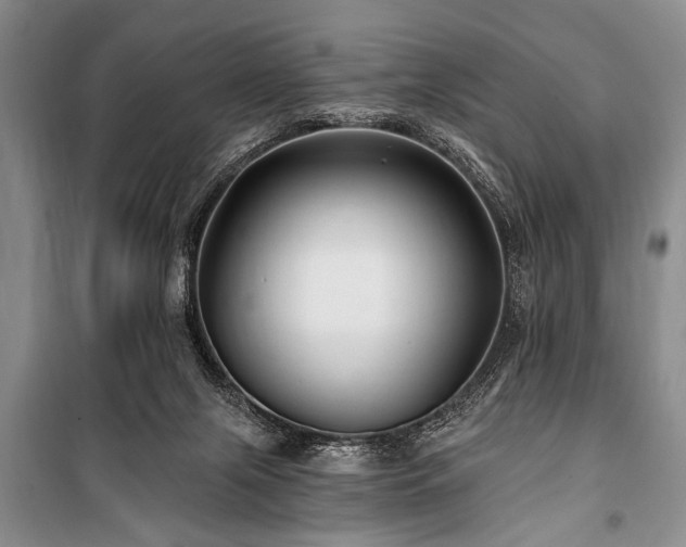 X0000101140071200806270929