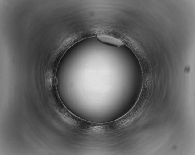 X0000101140072200806270929