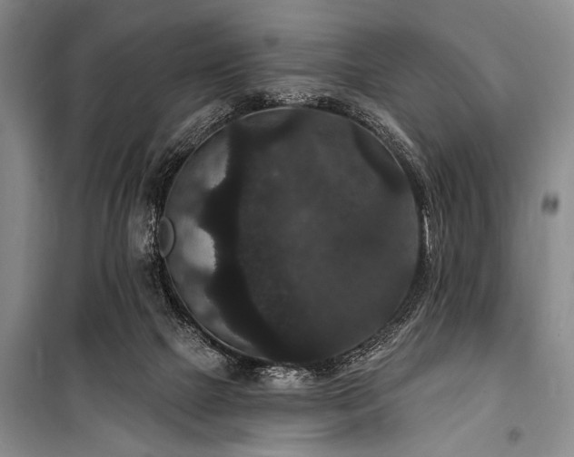 X0000101140073200806270929