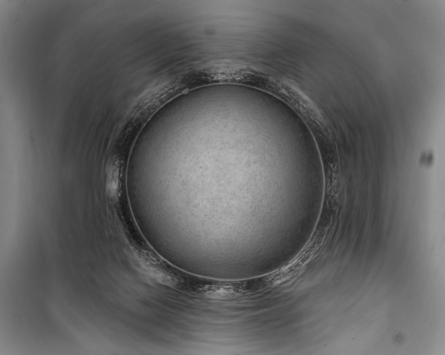 X0000101140074200806270929