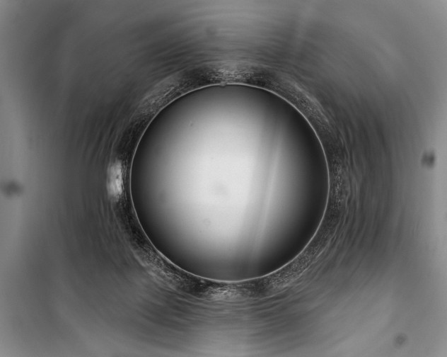 X0000101140075200806270929