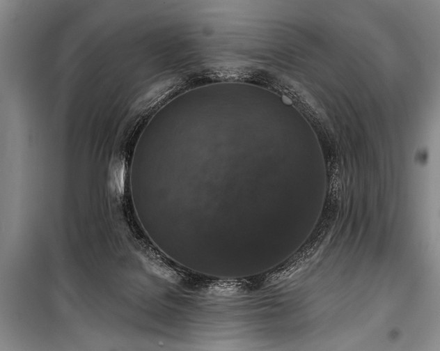 X0000101140076200806270929