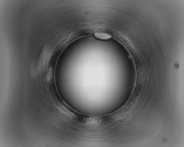 X0000101140077200806270929