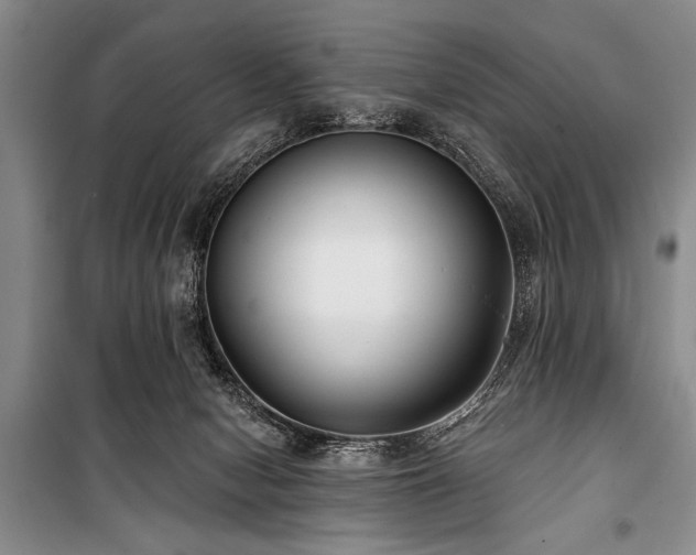 X0000101140078200806270929