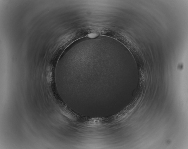 X0000101140080200806270929