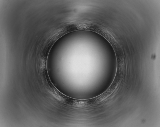 X0000101140081200806270929