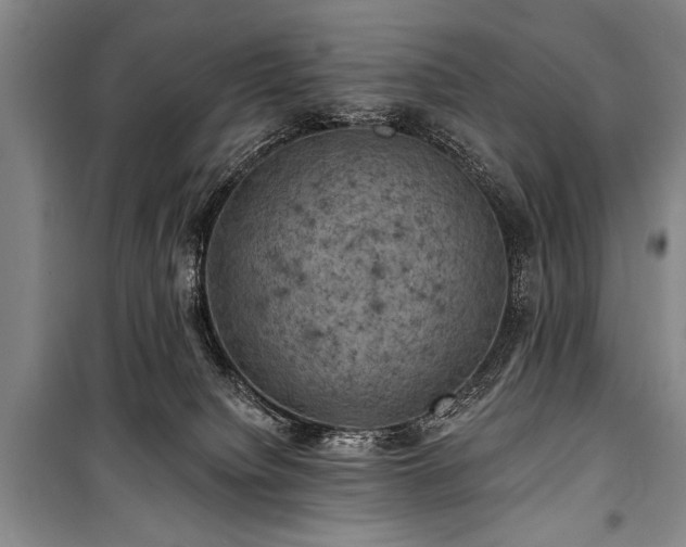 X0000101140084200806270930