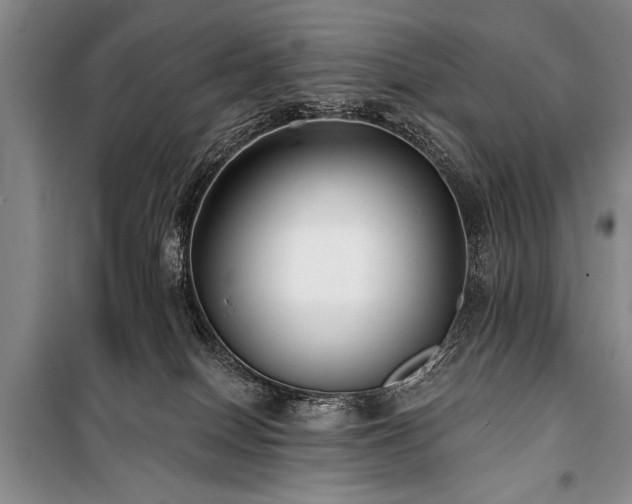 X0000101140086200806270930