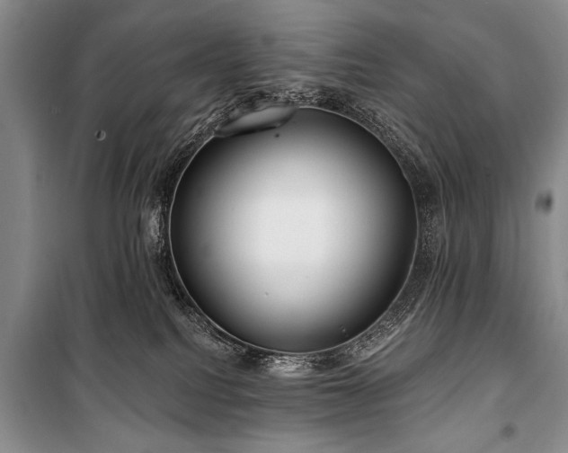 X0000101140088200806270930