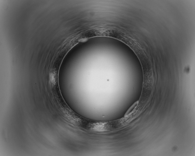 X0000101140090200806270930