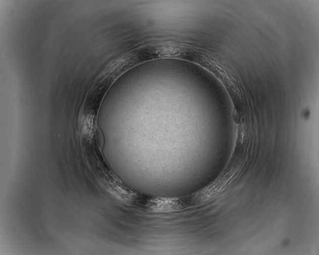 X0000101140093200806270930