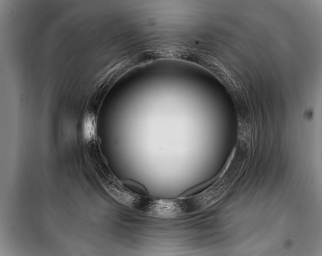 X0000101140095200806270930