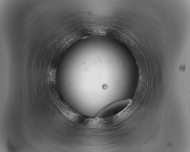 X0000101140096200806270930