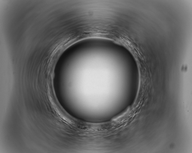 X0000101140097200806270929