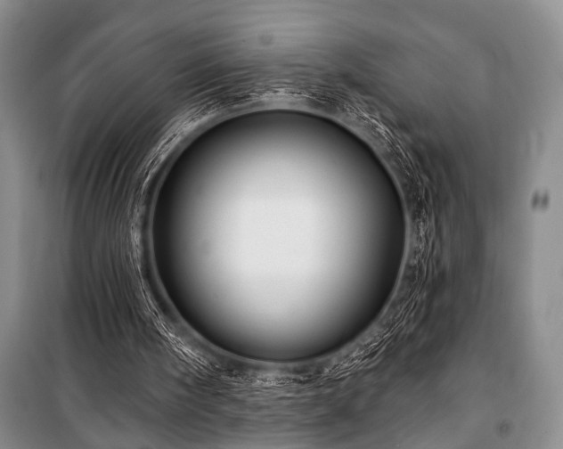 X0000101140098200806270929