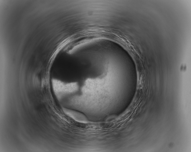 X0000101140099200806270929