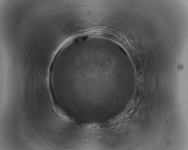 X0000101140100200806270929