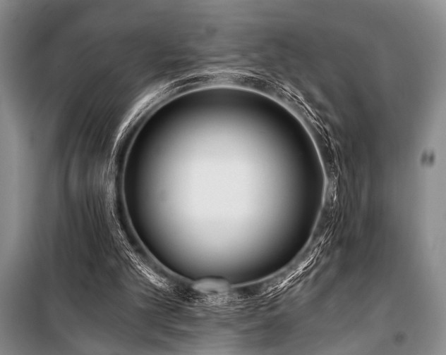 X0000101140101200806270929