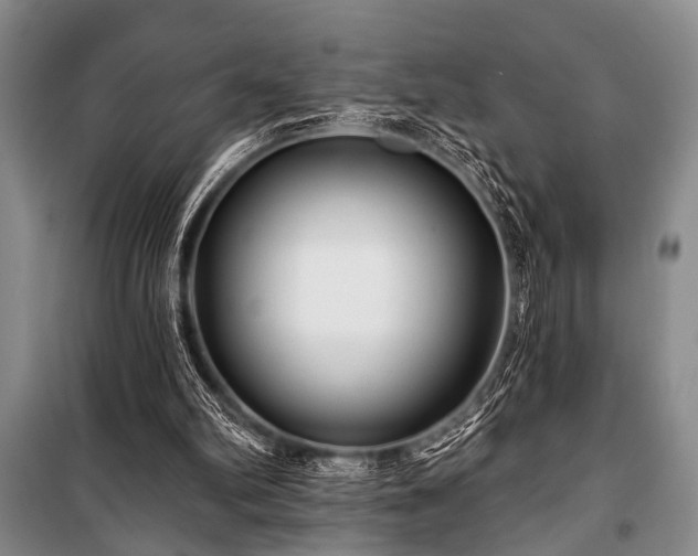 X0000101140102200806270929