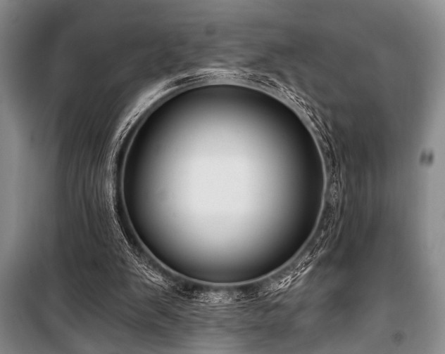 X0000101140103200806270929