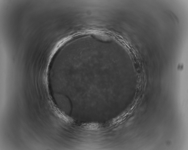 X0000101140104200806270929