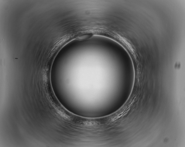 X0000101140105200806270929